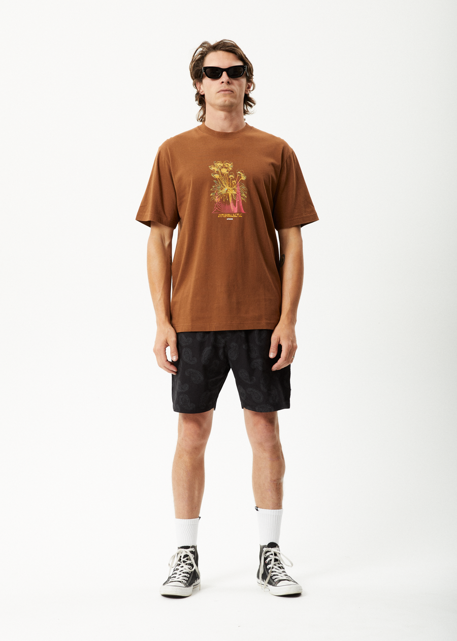 AFENDS Mens Gardener - Retro Graphic Tee - Toffee